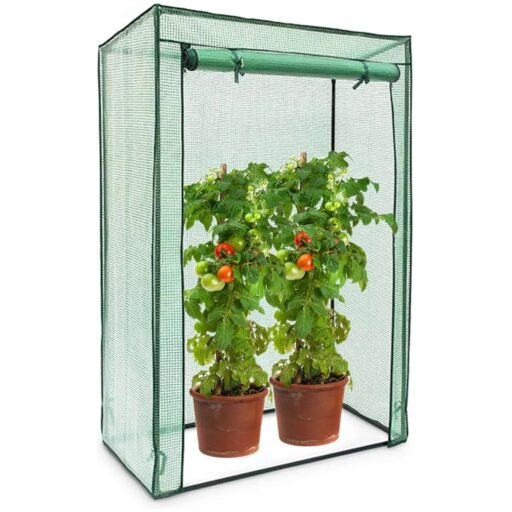 Tomatenkas 100 CM 1